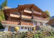 Top Wengen