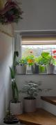 Top Donja Stubica