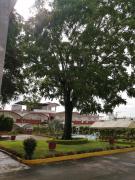 Top Martínez de La Torre