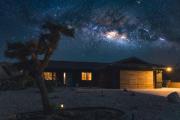 Top Joshua Tree