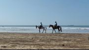 Top Murud