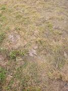 Ubytování Potok není správná adresa srazu na SK Rpety