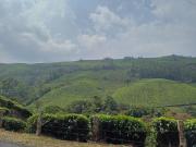 Top Munnar