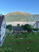 Top Plav