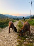 Top Stronie Śląskie