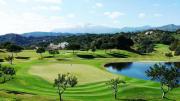 Top Estepona