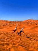 Merzouga tarwla camp