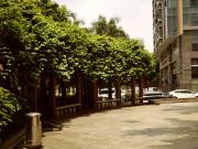 Top Haikou