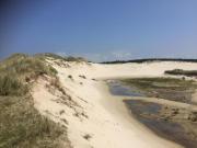 Holiday Home in Bergen near Forests