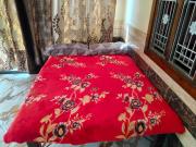 Top Amroha