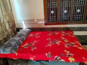 Top Amroha