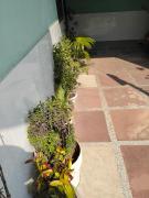 Top Amroha