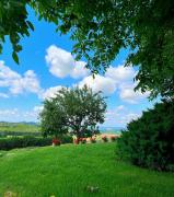 Hamlička Chaloupka na samotě