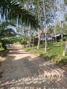 Top Ko Lanta Yai