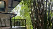 Top Khao Lak