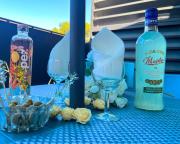 Plage 200 m à pied Terrasse vue Salins Bus pour îles Hyères