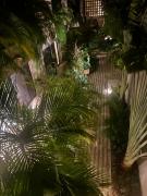 Paraiso Aldea Zama Tulum