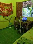 Top Palmeiras