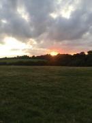 Top Kent