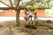 Top Bezerros