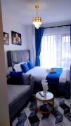 Fully furnished Studio at Tsavo Thindigua Kiambu rd