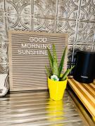 ChampaHouse GuestSuite - EZAccess to RinoBallpark - Studio