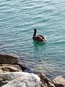 Top San José del Cabo