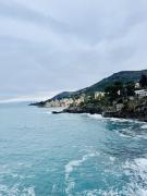 Top Bogliasco
