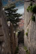 Top Kotor