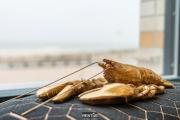 Lobster Loft - stylish apartment with sea view in Oostende