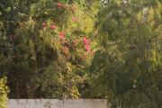 Top Udaipur