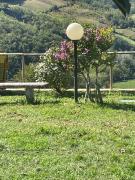 Top Arpesina