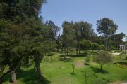 Modern two-bedroom apt with park views San Isidro