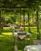 Top Camaiore