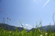 Top Inzell