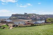 Top Whitby