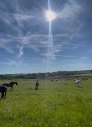 Oak Wood Ranch Guest Apartment