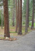 Top Black Butte Ranch