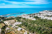 Top Leuca