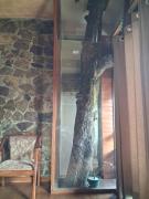 Ella Nithis Eco Cottages