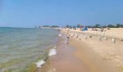 Top Muskegon