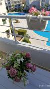 Aqua Marine pool view