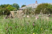 Tremerth Cottage Mousehole lovely country views