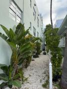 Top Miami Beach