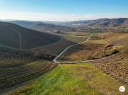 Casa Maria Rosa Charming Villa in the Heart of Monferrato