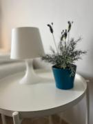 Top Ramonville-Saint-Agne