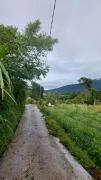 Top Bedugul
