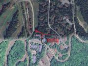 Top Bretton Woods