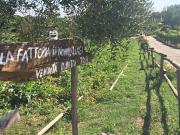 Holiday Home Lets di Proietti Ferienhaus by Interhome