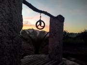 Top Manacor
